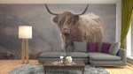 Fotobehang van mooie schotse hooglander